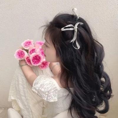 解码安妮·帕克